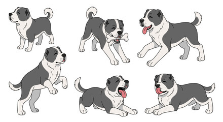 Obraz premium Central Asian Shepherd Dog in various playful poses and expressions 