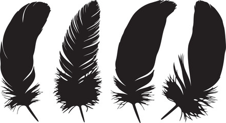 Black feather silhouette set, collection of four bird feather vector icons, elegant quill and plumage graphics for logo design and decoration © Carter