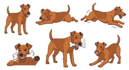 Fototapeta premium Playful Irish Terrier engaging in various activities with a bone 