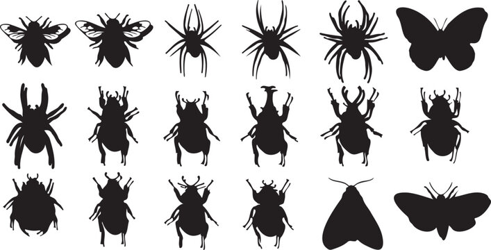 Black insect silhouettes collection, 18 detailed bug vector icons, butterfly and spider shapes, beetle and bee graphic design elements