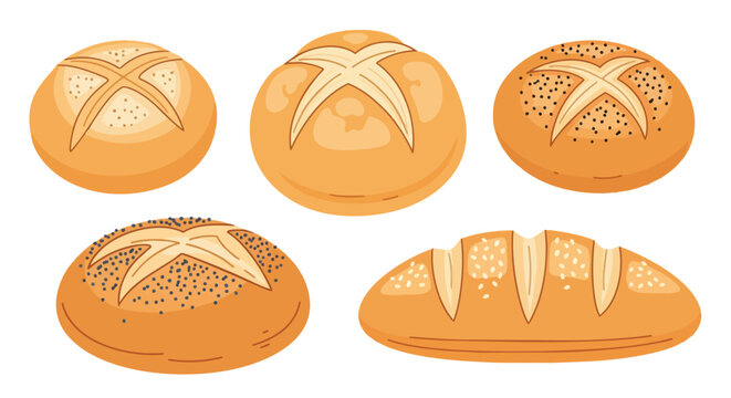 A delightful assortment of freshly baked bread rolls and a rustic loaf, perfect for breakfast spreads or dinner tables