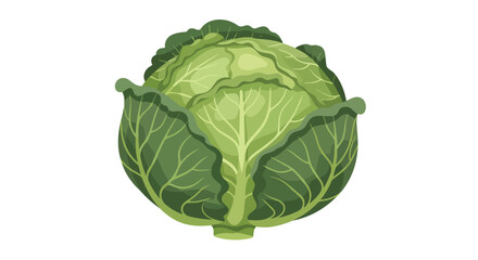 Obraz premium A vibrant green brassica vegetable, depicting a wholesome and crisp cabbage head ready for culinary preparations, emphasizing fresh produce and