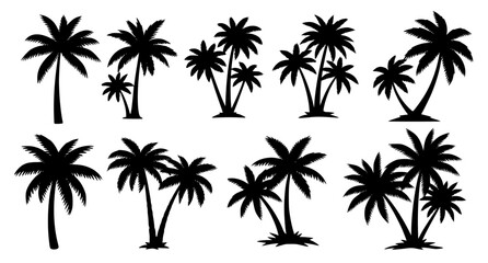 Fototapeta premium Black palm tree silhouette collection tropical beach palm shapes vector set isolated on white