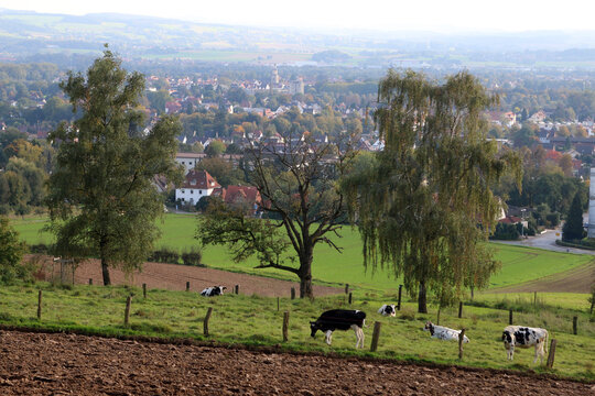 Blick auf Rinteln an der Weser