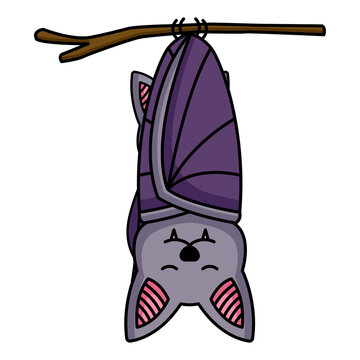 Illustration of design graphic of cute bat mascot.