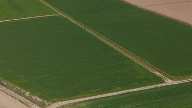 Green Fields Pattern: An aerial perspective captures a patchwork of verdant fields, divided by symmetrical paths and the harmony of nature's design.