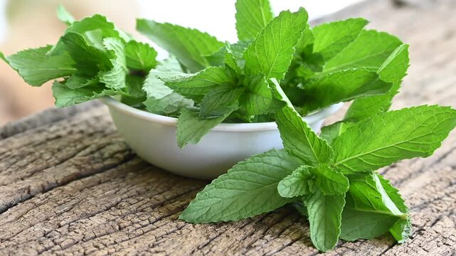 Wild mint (Mentha arvensis) leaves with coarsely serrated margin. Mentha arvensis plant leaves wooden background
