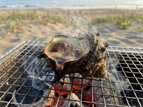 Grilled turban shell