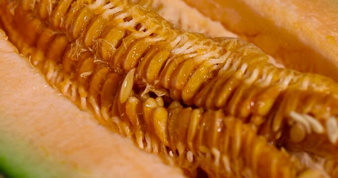 Orange sweet melon with seeds in the core, juicy melon with fibrous flesh and dense rows of seeds under studio lighting with an authentic look and high detail of the fruit.