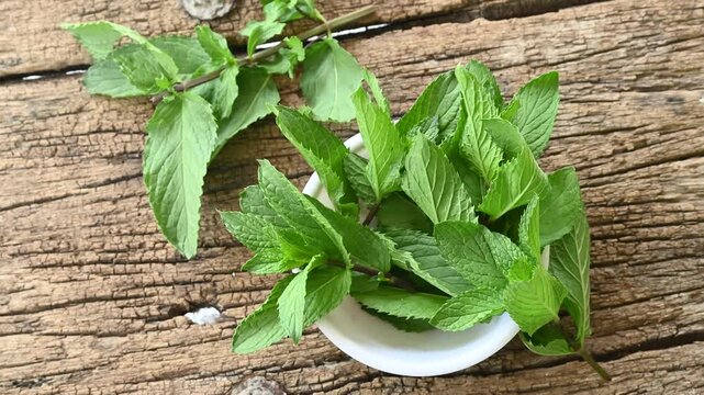 Wild mint (Mentha arvensis) leaves with coarsely serrated margin. Mentha arvensis plant leaves wooden background
