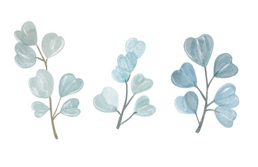 Obraz premium Watercolor Botanical Branches with Blue Green Leaves