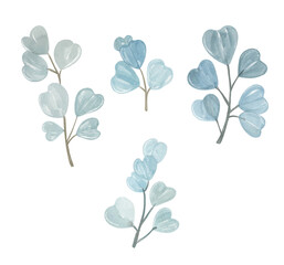 Obraz premium Watercolor Botanical Branches with Blue Green Leaves