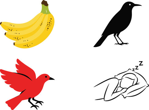 Flat Illustration Set Featuring Banana Fruit Bird Silhouettes and Sleeping Person Character in Minimal Colorful Vector Design Collection