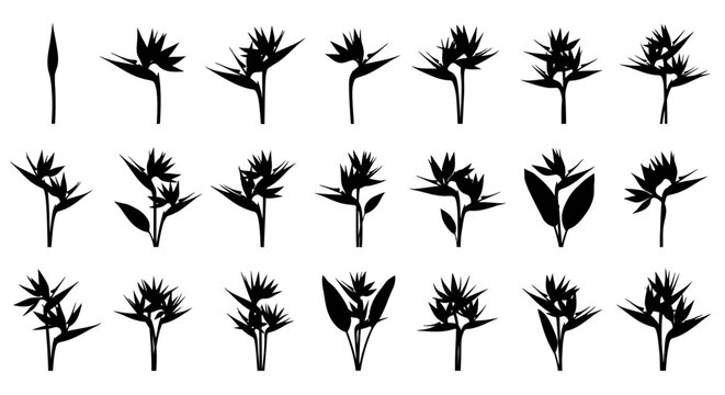 set of plants