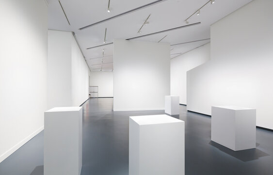 Modern art gallery exhibition hall with empty displays