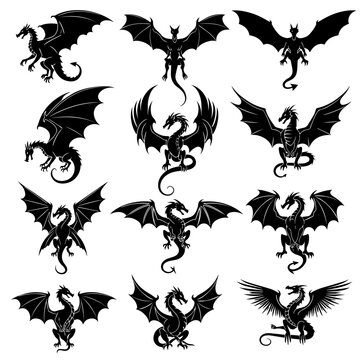 black and white dracon