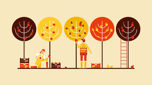 Happy Family Picking Apples in Local Farming Orchard Harvest Vector