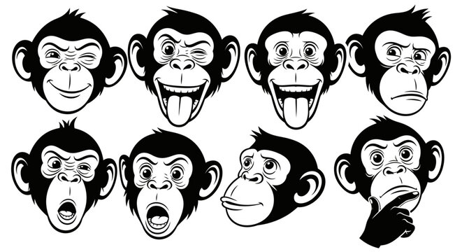 Collection of Monkey Faces Expressing Various Emotions.