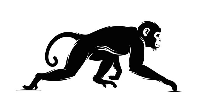 Silhouette of a Spider Monkey in Motion.