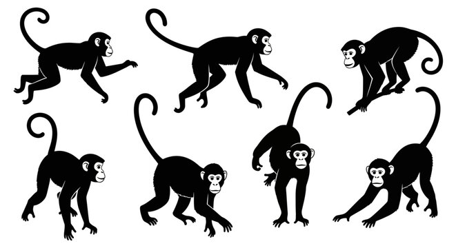 Collection of Silhouetted Monkeys in Various Poses.