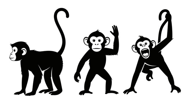 Three Silhouetted Monkeys in Dynamic Poses.
