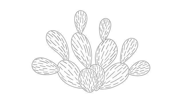 Simple black and white line drawing of a cluster of prickly pear cactus pads with spine details isolated on a white background.