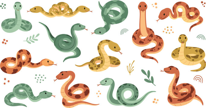 Colorful Snake Collection in Flat Cartoon Style Featuring Various Reptile Characters with Different Patterns and Poses for Wildlife Design and Nature Illustrations.