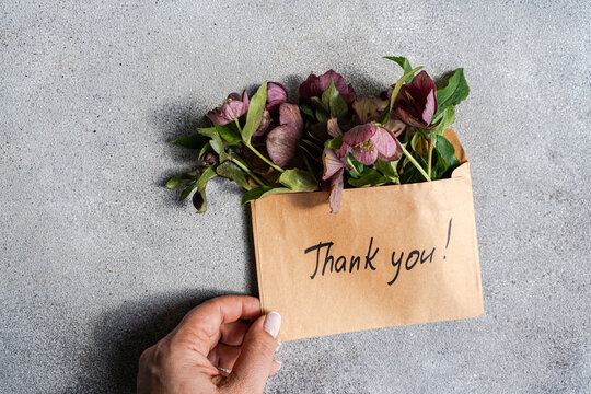 Thank you card with hellebore spring flowers on grey