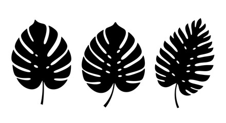 Monstera Leaves Silhouettes Tropical Plant Elements. © Candrani