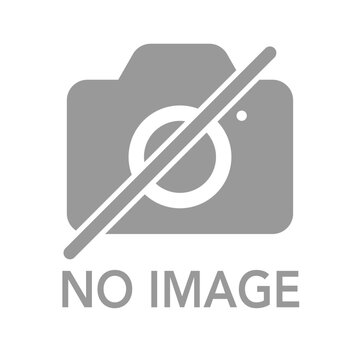 カメラアイコン NO IMAGE ダミー用素材 文字入り