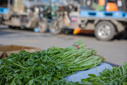 Fresh green water dropwort bundles for sale at Garak Market in South Korea for healthy cooking