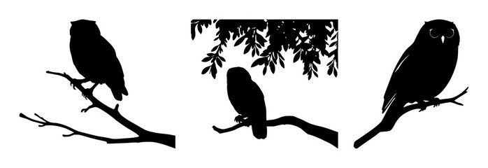 Fototapeta premium Owls set with detailed silhouette of a perched owl on a rugged tree branch featuring owls, silhouettes, nature with birds and woodland scenery