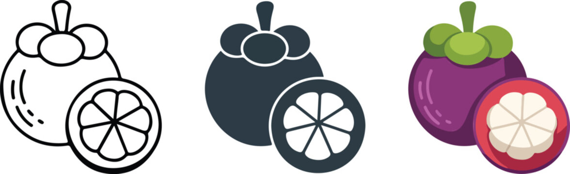 Set of tropical mangosteen fruit icons in minimalist outline silhouette and colorful flat vector styles for organic design.