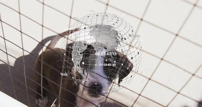 Dog standing behind wire mesh fence, tracking rotating HUD globe appearing overhead for tech demo