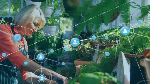 Woman trimming plants at bench, starting blue network expanding over sunroom showing gardening data