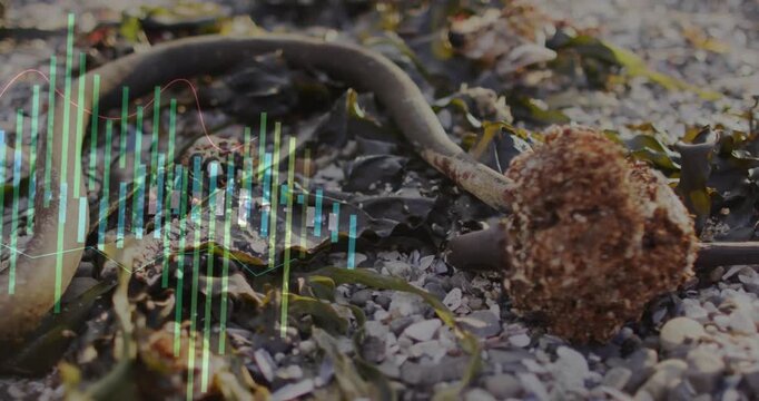 Vertical video: Reacting to audio bars, eellike creature uncoiling on pebbled shore with sponge