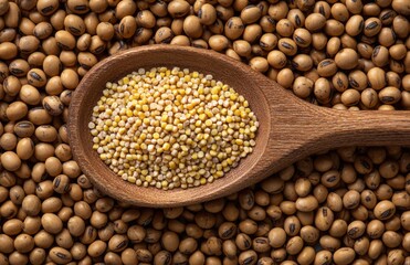 Obraz premium Title: Millet Grains in Wooden Spoon Surrounded by Sorghum Seeds