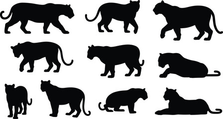 Nine black silhouettes of panthers, feline poses, walking, standing, crouching, lying down, animal artwork, wildlife illustration, predator design, nature concept © MdAriful