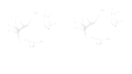 Obraz premium Two symmetric circular splashes of white liquid appear to be frozen in motion creating dynamic shapes that resemble rings of milk swirling gracefully against a plain backdrop without any background