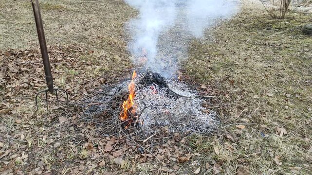 A small bonfire of dry branches and leaves