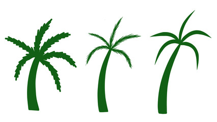 Three green vector palm trees illustration isolated on white background, tropical vacation themed graphic design resource. Transparent PNG included. © Athifa