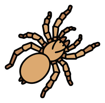 Desert camel spider illustration top view isolated o.... Generative AI