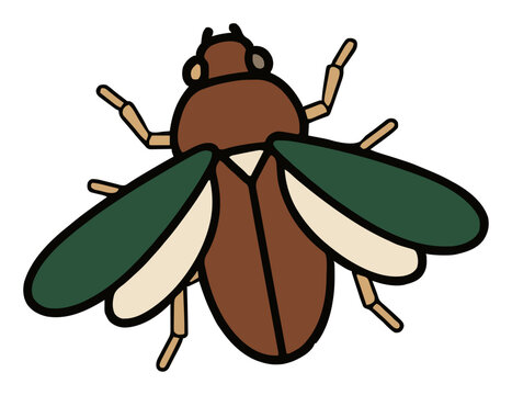 June bug beetle vector illustration top view. Generative AI