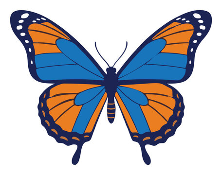 Owl butterfly top view flat vector art. Generative AI