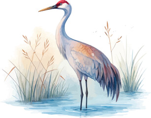 Obraz premium Hand-Painted Crane Watercolor, Wetland Wildlife Clipart, Isolated Vector Illustration