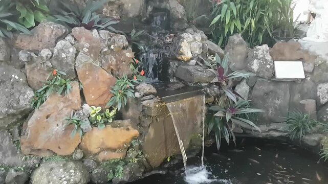 Natural Stone Fish Pond with Small Waterfall in Tropical Garden