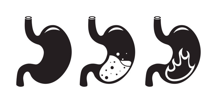 Digestive System Stages Medical Vector Illustration