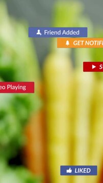 Vertical video: Cursor hovering, badges moving, cam reframing, kale-carrot, tomato confirming msgs