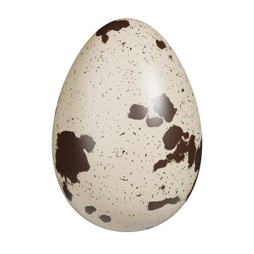 Quail Egg 3D Render