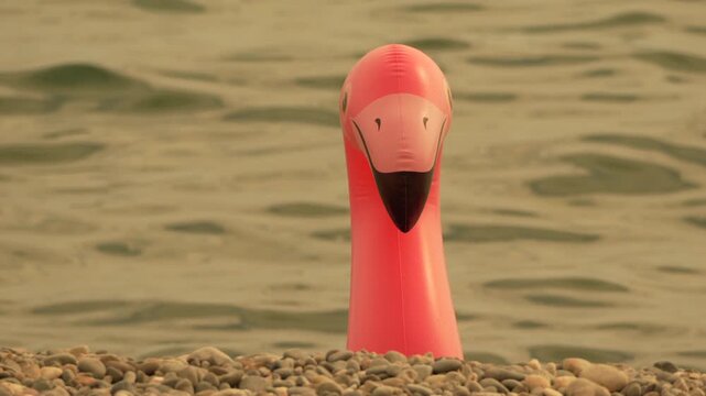Pink Flamingo Pool Float Peeking Over Pebbles